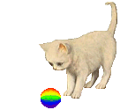 Kitten & ball