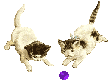 Two kittens with ball