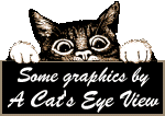 CatsEyeView