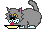 Grey cat