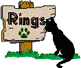 Cat rings2